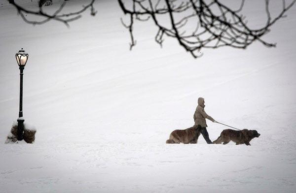 CCTV9英语新闻：美国暴风雪9人死亡 积雪60厘米