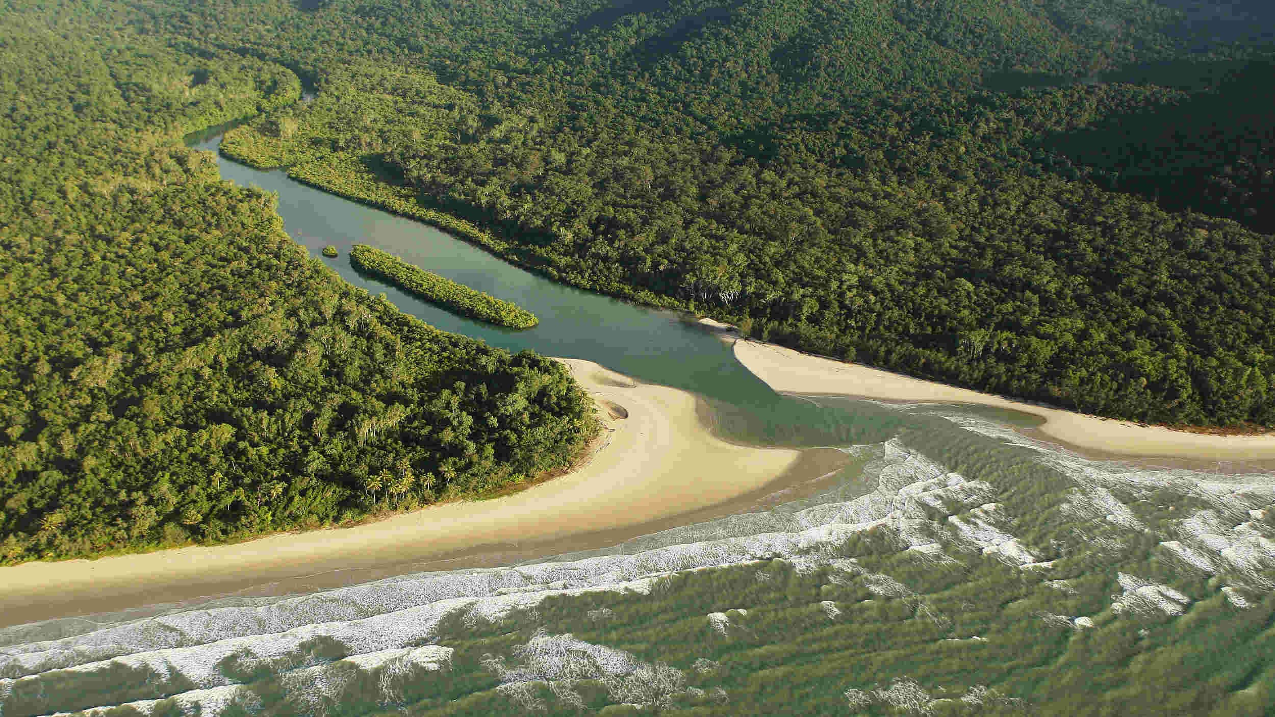 Seed-launching drone for tree planting could combat deforest