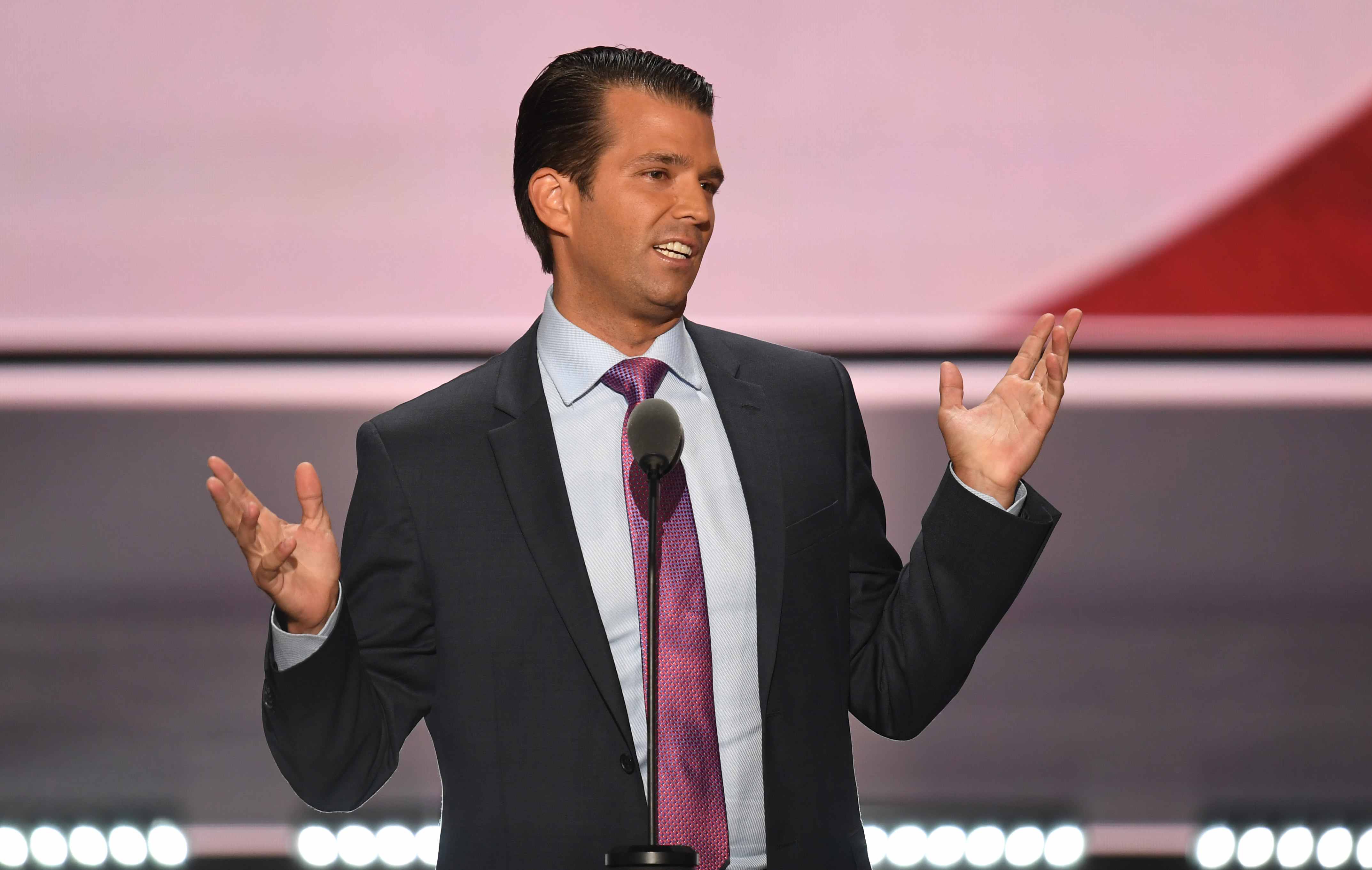 Did Do<em></em>nald Trump Jr. break US law?