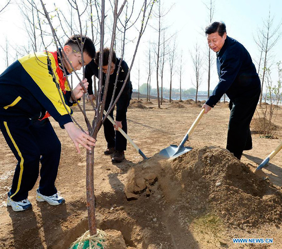 习近平义务植树照片