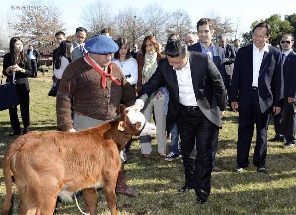 习近平主席参观阿根廷农场