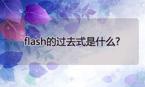 flash的过去式是什么?flash的用法和例句