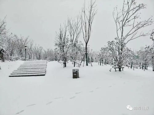 今日北京降雪已达初雪标准,来看看下雪用英语怎么说吧