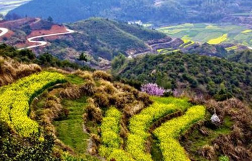 纪录片《改变世界的中国植物》北京植物园开拍，将在2019世园会亮