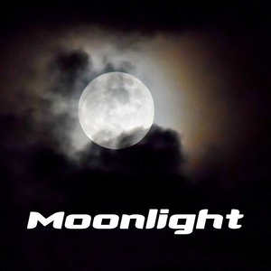 moonlight原来还有“兼职”的意思!千万别以为是“月光”!