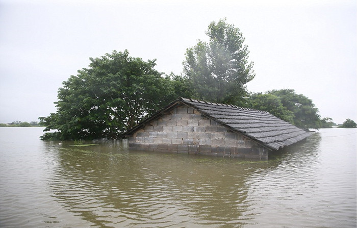 直击南方大雨：洪灾主人泪别6000头猪