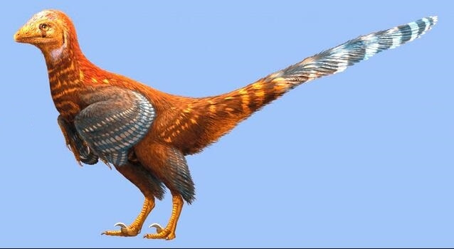 ‘Giant chicken with teeth’ dinosaur fossil discovered in C