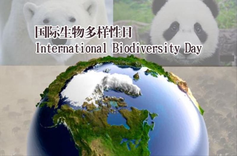 Internatio<em></em>nal Day for Biological Diversity