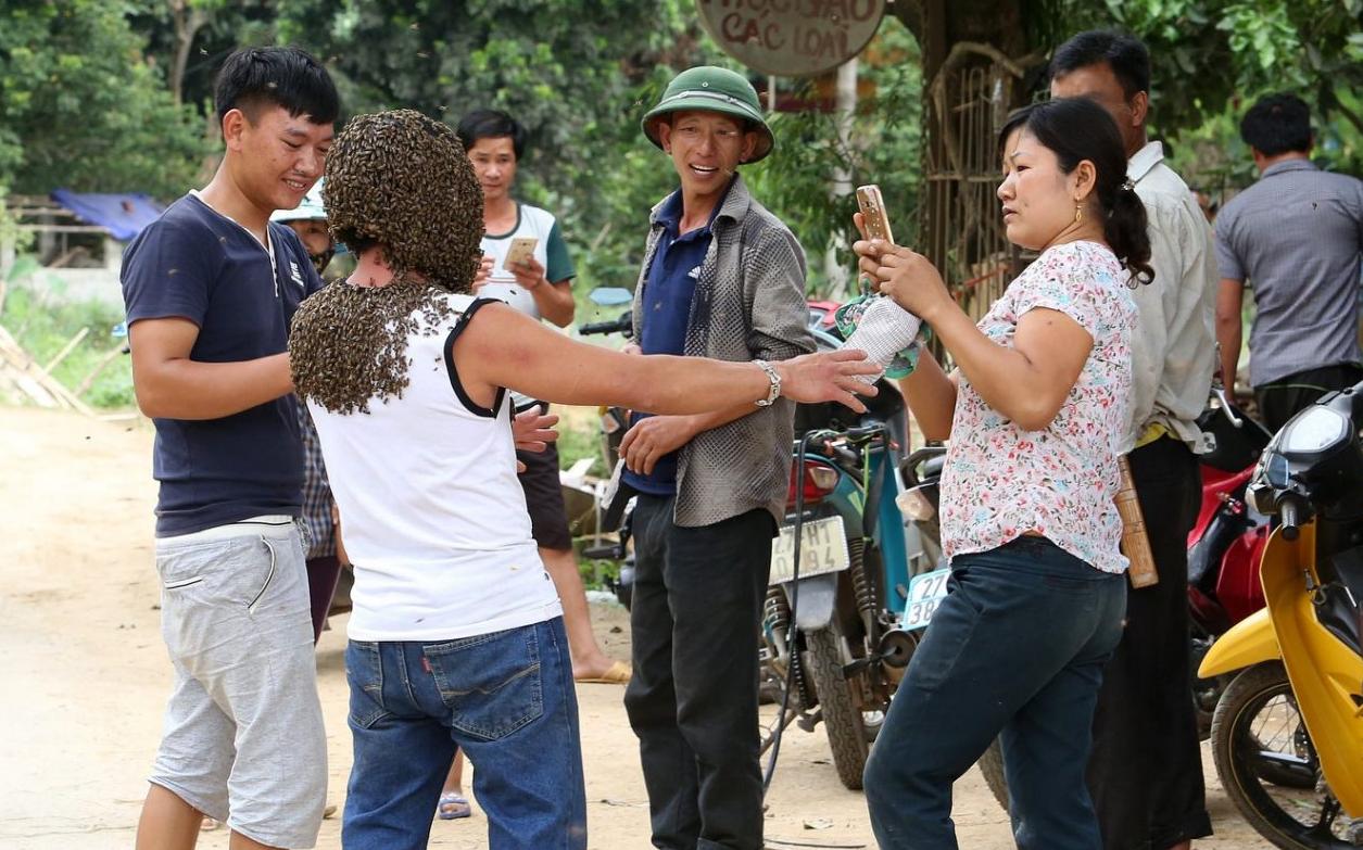 Vietnamese beekeeper attracts thousands of wild bees