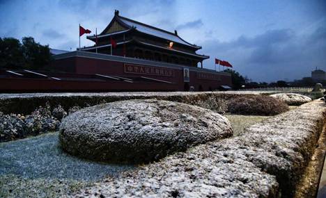 北京初雪如约而至 但是说好的暴雪呢？