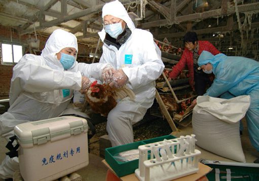 中国发现5例H7N9禽流感病例