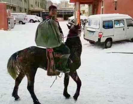 内蒙古降大雪，快递小哥骑马送快递！