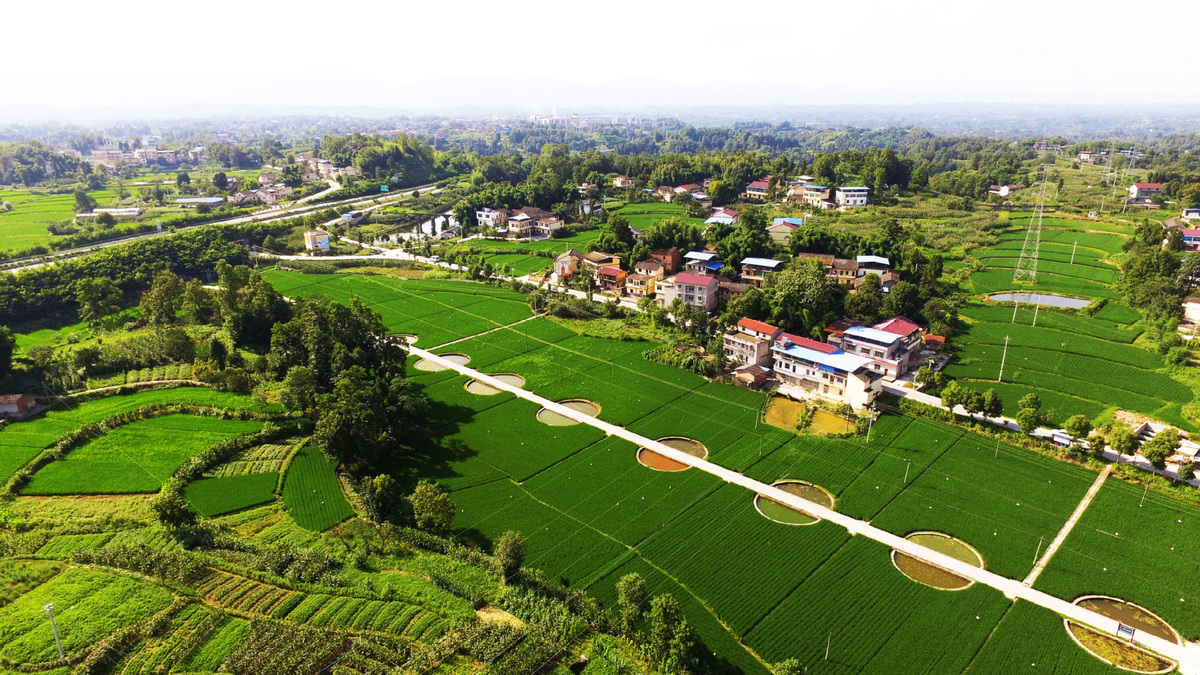 植树节：2019年全国共完成造林706.7万公顷