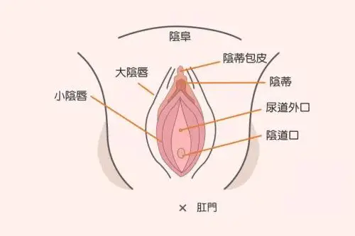 【科普】第一次爱爱关了灯怎么才能准确找到洞口