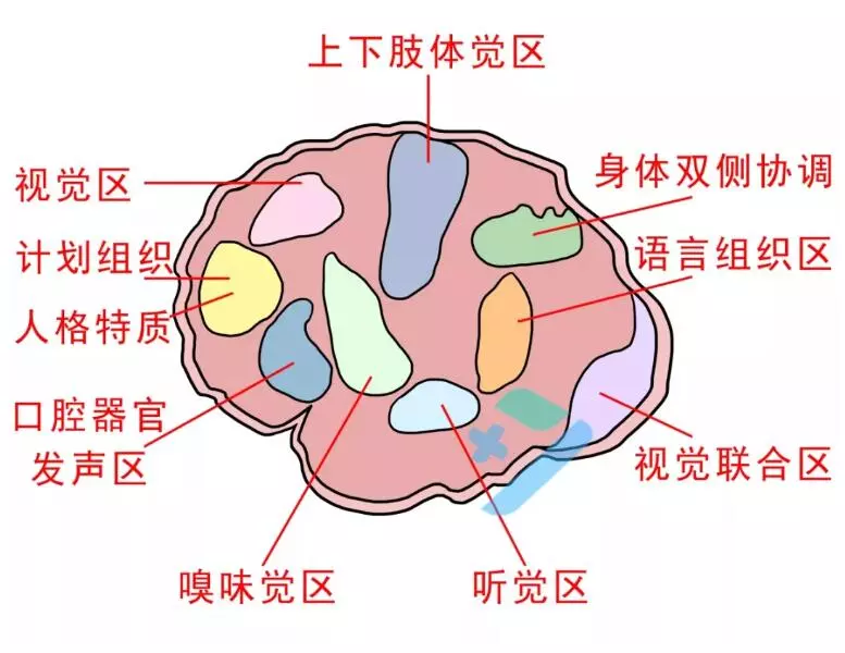 女人为什么会做春梦呢？