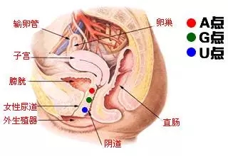 这样“摸”，让她春水湿了一地！