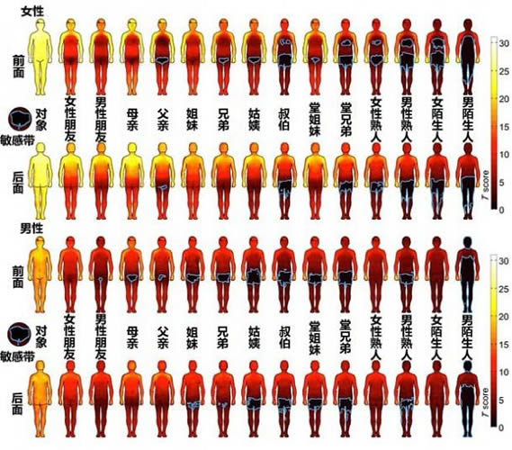 一秒看懂男女敏感带：一张图一秒看懂（图）