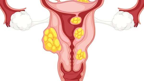 高清女性生殖器图 带你探秘女性最私密部位