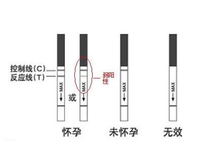 同房后几天能测出来：同房后最快7-10天就能测出来