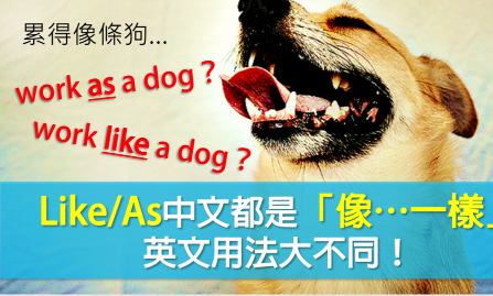 【秒杀文法】累得像条狗是 work like a dog 还是 work as a dog？ Like / As 英文用法大不同！