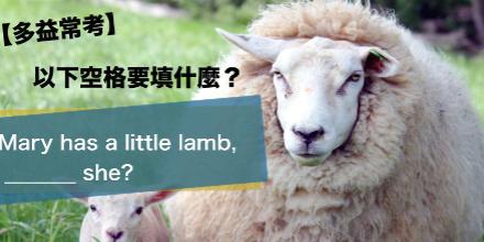 【多益常考】Mary has a little lamb, _______ she? 空格要用 hasn’t 还是 doesn’t？