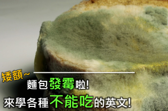 矮额~面包发霉啦！来学学各种「不能吃」、「食物坏掉」的英文怎么说！