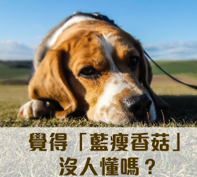 觉得「蓝瘦香菇」没人懂吗？ 7 个英文单字陪你走过各种难过低潮期！