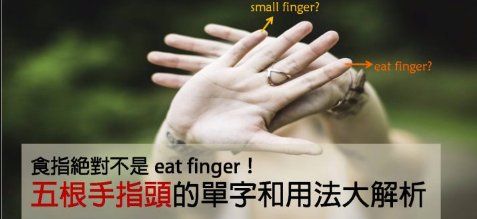 【实用英文】食指绝对不是 eat finger！五根手指头的英文单字和用法大解析