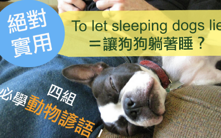 【To let sleeping dogs lie＝让狗狗躺着睡？ 】四组实用动物生活谚语！不学太可惜！