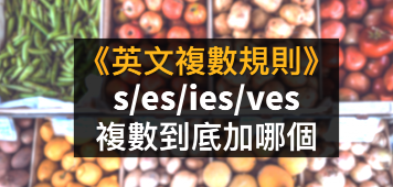 【英文复数规则】s/es/ies/ves？这个名词的复数到底加什么？一次告诉你！