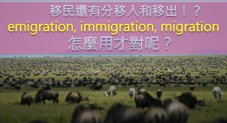 移民还有分移入和移出！ ？你知道 emigration, immigration 差别在哪吗？