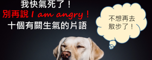 我快气死了！别再说 I am angry! 十个有关生气的片语，让你的愤怒不再词穷！