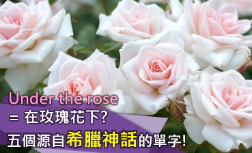 Under the rose = 在玫瑰花下？五个源自希腊神话的有趣英文单字！