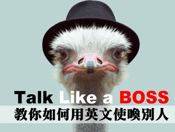 【实用口语】教你如何用英文使唤别人，让你 Talk Like a BOSS！