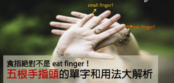 【实用英文】食指绝对不是 eat finger！五根手指头的英文单字和用法大解析