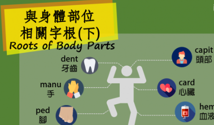 与身体部位相关的字根，运用联想法，拆解单字学习超快速！ (下)