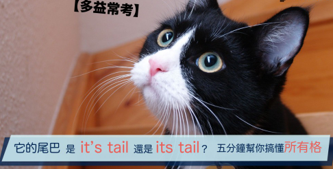 「它的尾巴」是 it’s tail 还是 its tail? 五分钟帮你搞懂所有格！