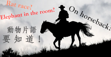 Elephant in the room? Rat race? On horseback? 动物片语要知道！