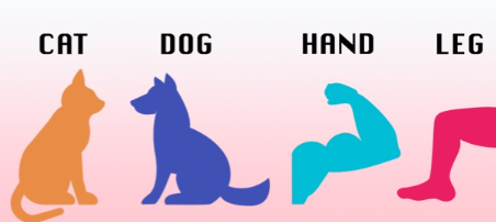 【生活英文】Cat, Dog, Hand, Leg…这些简单单字变化多，快速增加你的单字量！