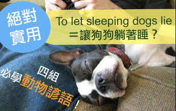 【To let sleeping dogs lie＝让狗狗躺着睡？ 】四组实用动物生活谚语！不学太可惜！