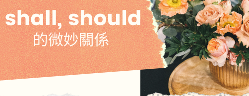 shall, should的微妙关系