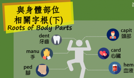 与身体部位相关的字根，运用联想法，拆解单字学习超快速！ (下)