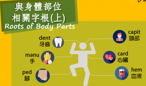 与身体部位相关的字根，运用联想法，拆解单字学习超快速！ (上)