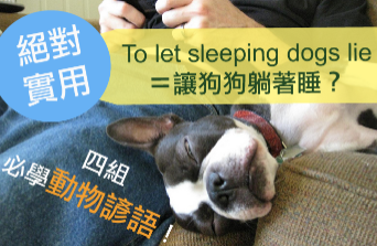 【To let sleeping dogs lie＝让狗狗躺着睡？ 】四组实用动物生活谚语！不学太可惜！