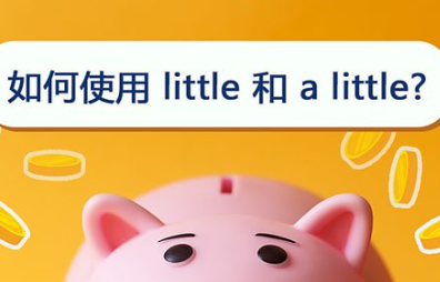 如何使用 little 和 a little？