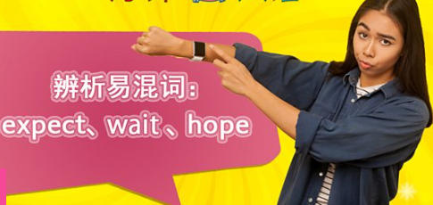 表析易混词：expect、wait、hope