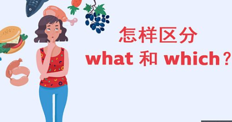 怎样区分 what 和 which？