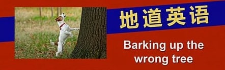 Barking up the wrong tree 英国人用“吼错了树”表示“攻击错了目标”