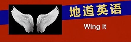 Wing it 的意思是“扇翼蛇”吗？