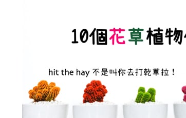 hit the hay 不是叫你去打干草！ 10 个花草植物俚语